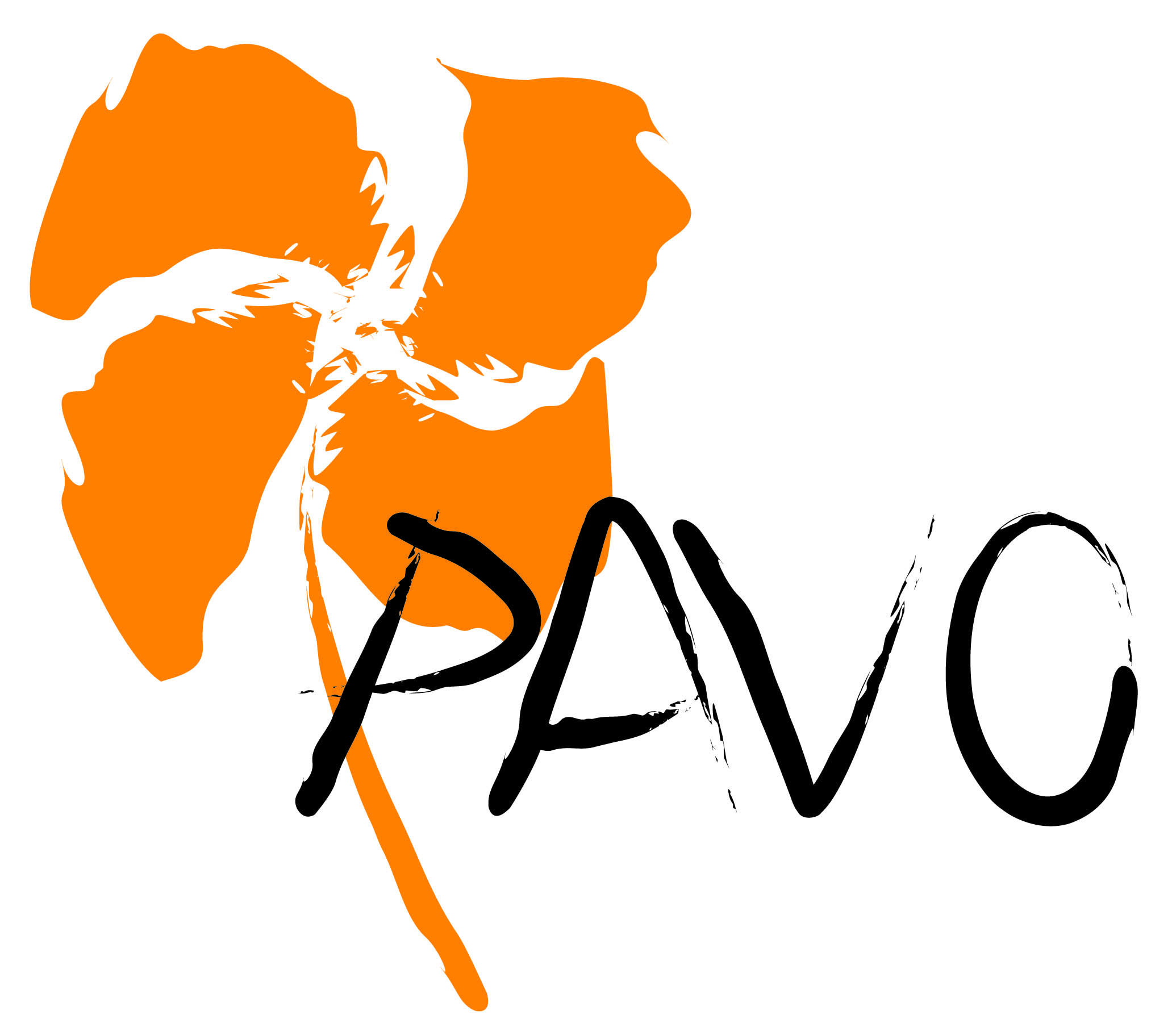 Projet PAVO